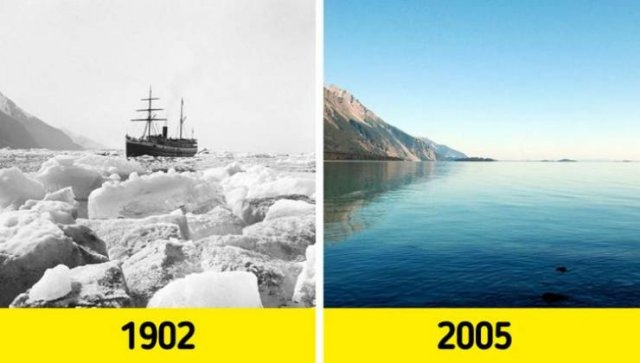 The Consequences Of Global Climate Changes (19 pics)
