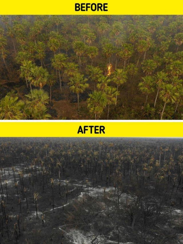 The Consequences Of Global Climate Changes (19 pics)