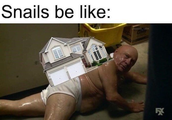 Dirty Humor (38 pics)