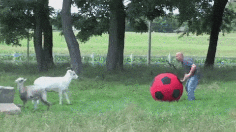 Acid Gifdump, March 9 (25 gifs)