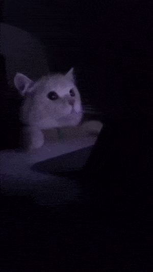Acid Gifdump, March 9 (25 gifs)