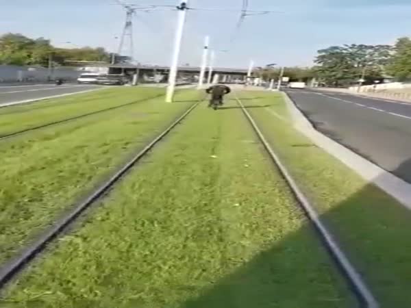 Guy On A Bicycle Gets Mad At Tram Following Him