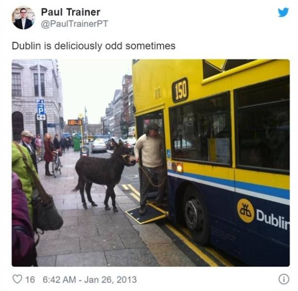Ireland Memes And Pictures (41 pics)