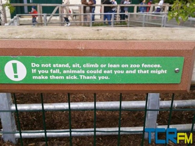 Ireland Memes And Pictures (41 pics)