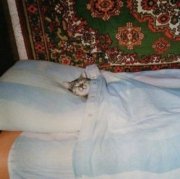 Acid Picdump 1 (82 pics)