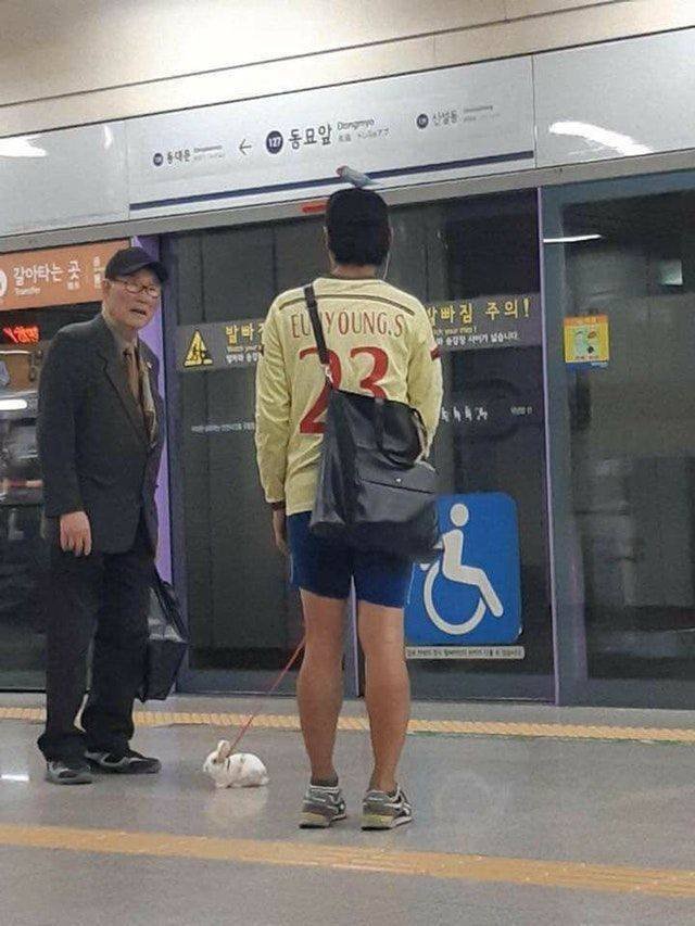Acid Picdump 2 (79 pics)