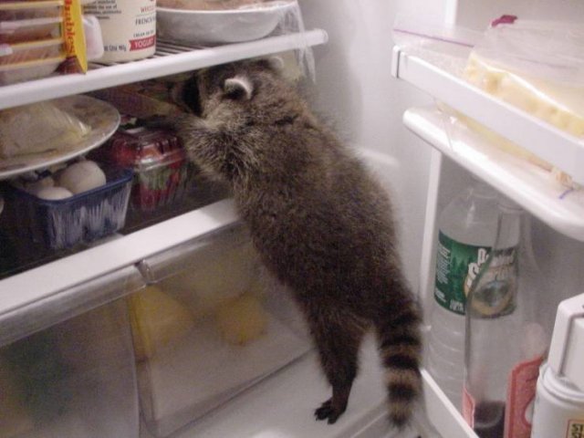 Acid Picdump 2 (79 pics)