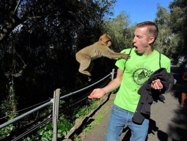 Acid Picdump 1 (82 pics)