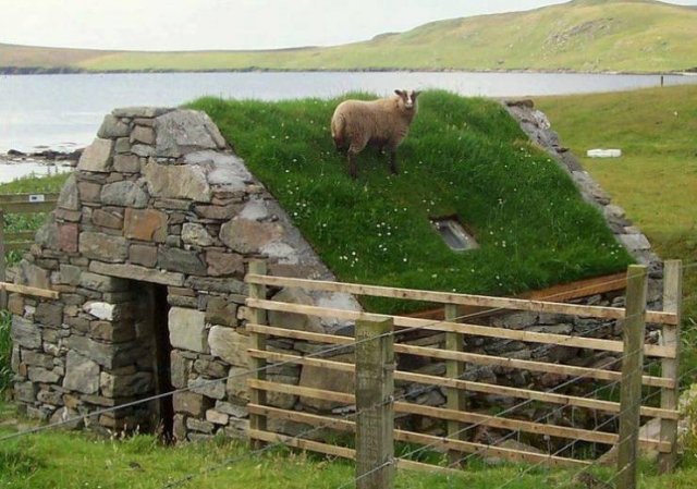 Acid Picdump 2 (79 pics)