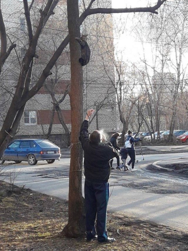 Acid Picdump 2 (79 pics)