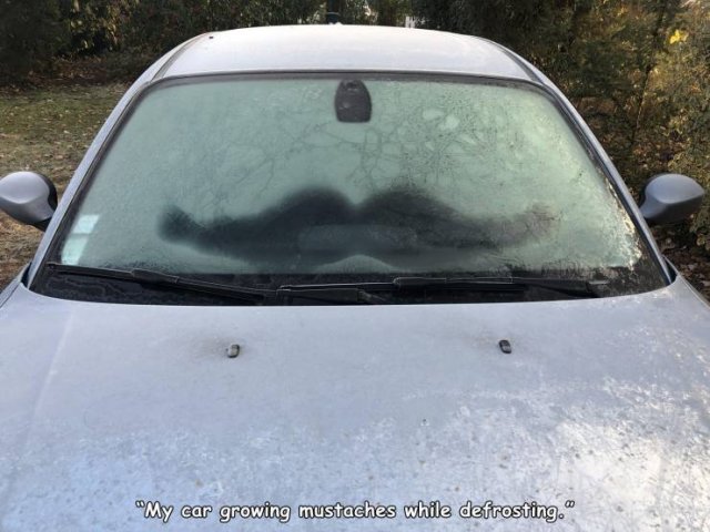 Acid Picdump 1 (82 pics)