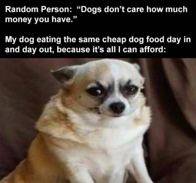 Random Funny Memes (85 pics)