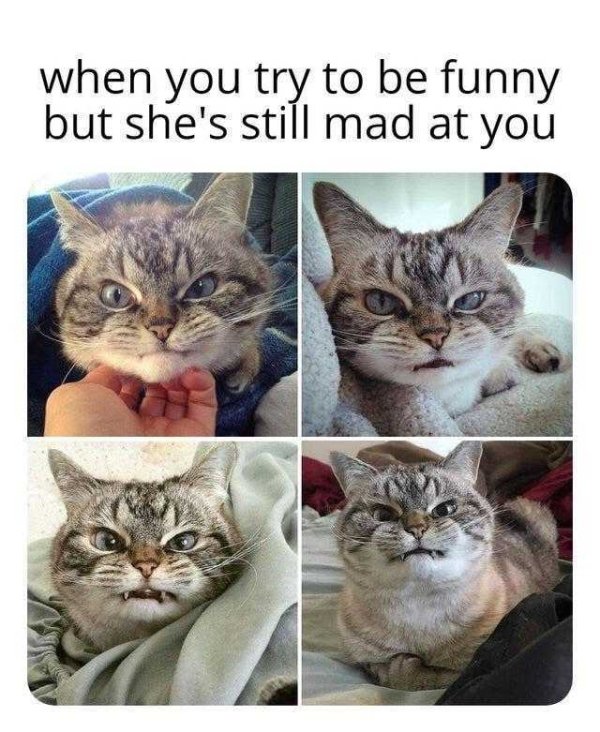 Men Memes (18 pics)