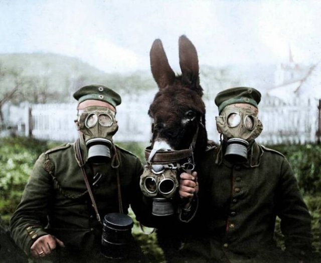 Colorized Historical Photos (28 pics)