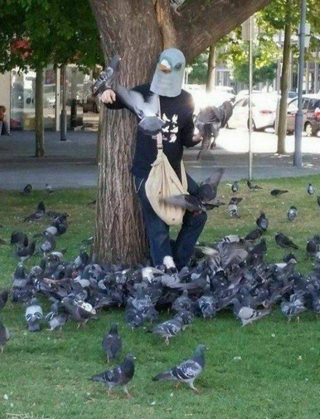 Acid Picdump 1 (78 pics)