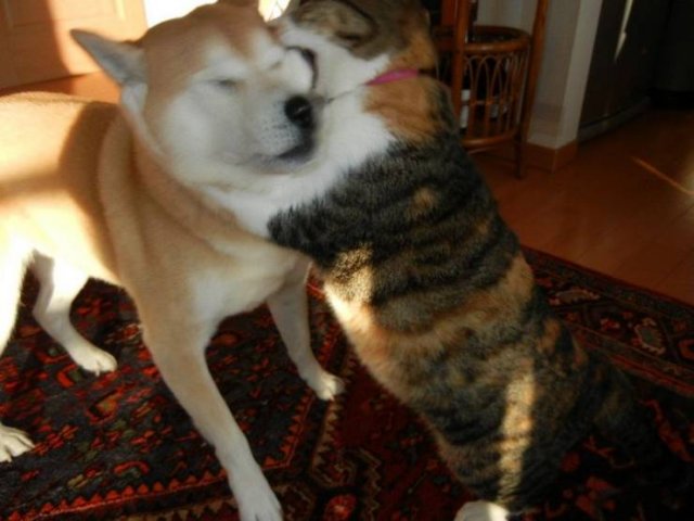 Acid Picdump 1 (78 pics)