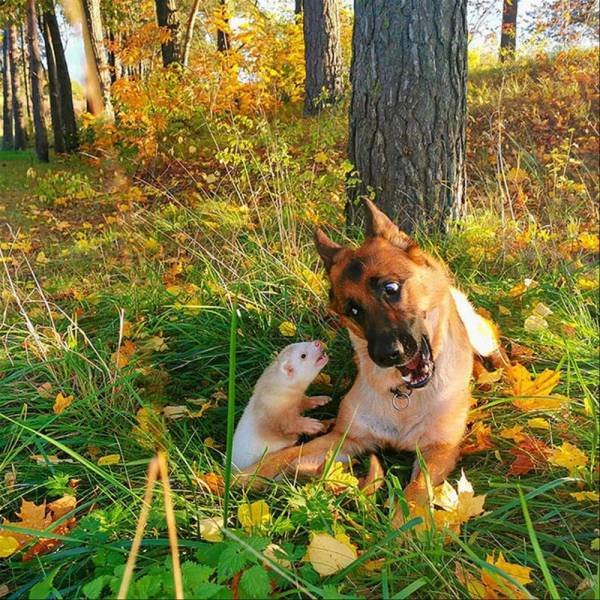 Acid Picdump 1 (78 pics)
