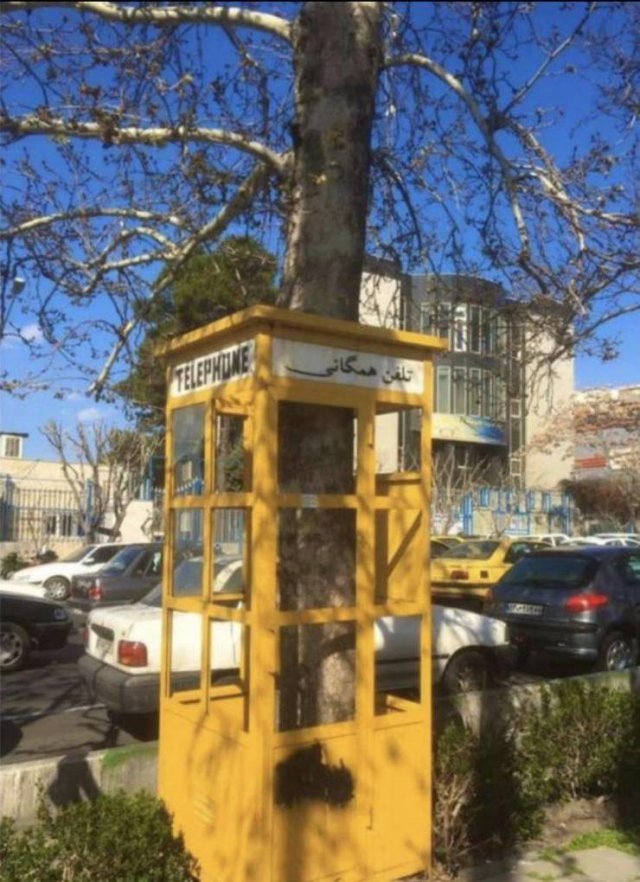 Acid Picdump 2 (60 pics)