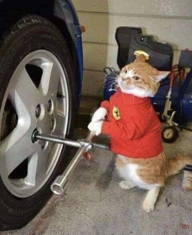 Acid Picdump 2 (60 pics)