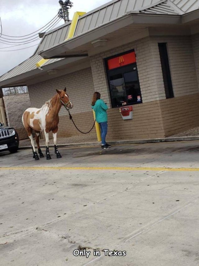 Acid Picdump 1 (62 pics)