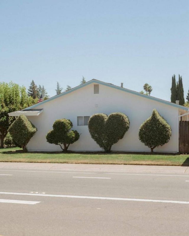 Acid Picdump 1 (62 pics)