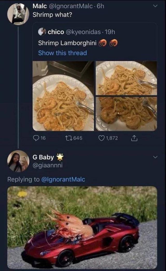Random Funny Memes (156 pics)
