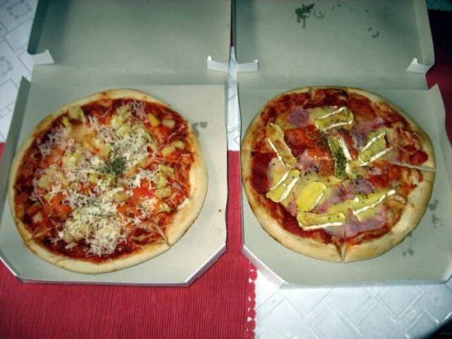 The Worst Human Decisions Ever Made Throughout History (39 pics)
