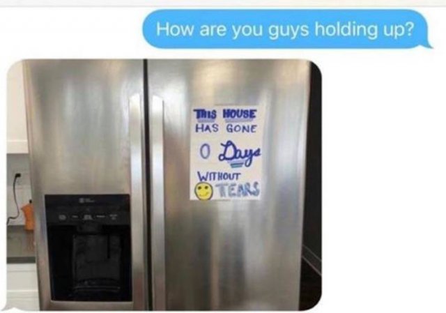Random Funny Memes (156 pics)