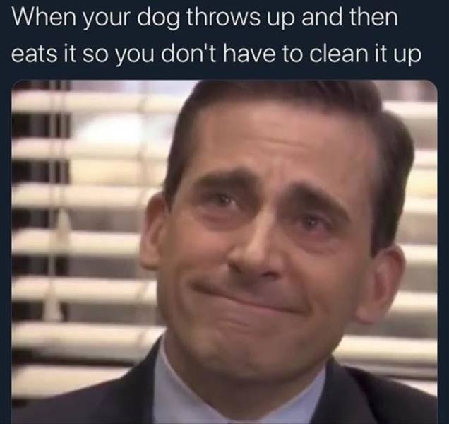 Random Funny Memes (156 pics)