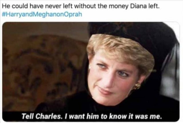 Random Funny Memes (156 pics)