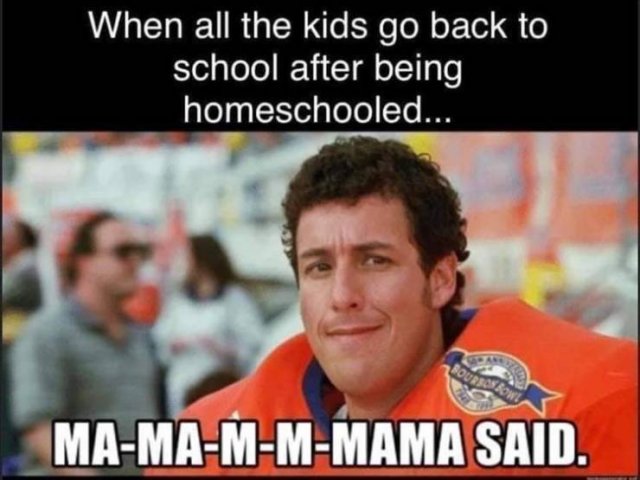 Random Funny Memes (156 pics)