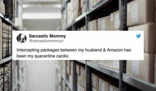 Random Funny Memes (156 pics)