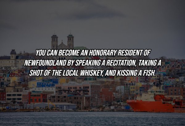 Intriguing Facts (19 pics)