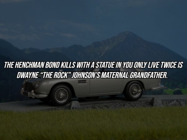 Intriguing Facts (19 pics)