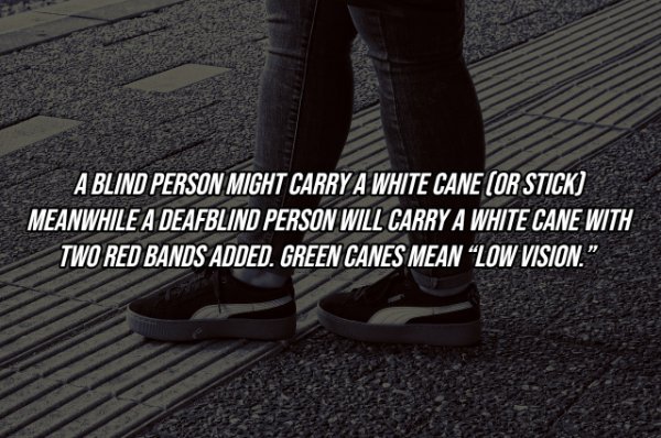 Intriguing Facts (19 pics)