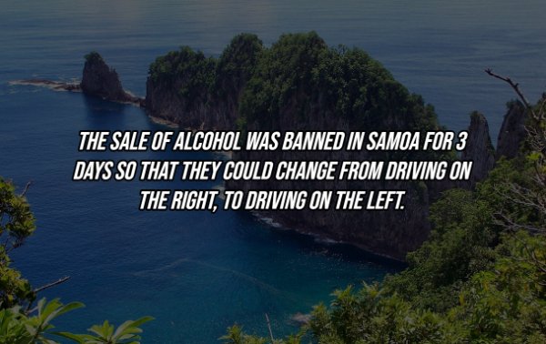Intriguing Facts (19 pics)