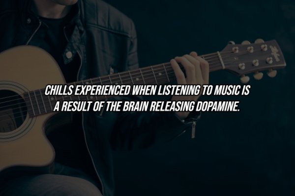 Intriguing Facts (19 pics)