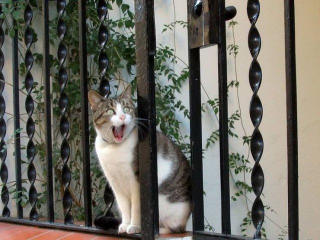 Acid Picdump 2 (79 pics)