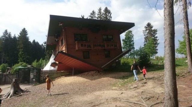 Acid Picdump 2 (79 pics)