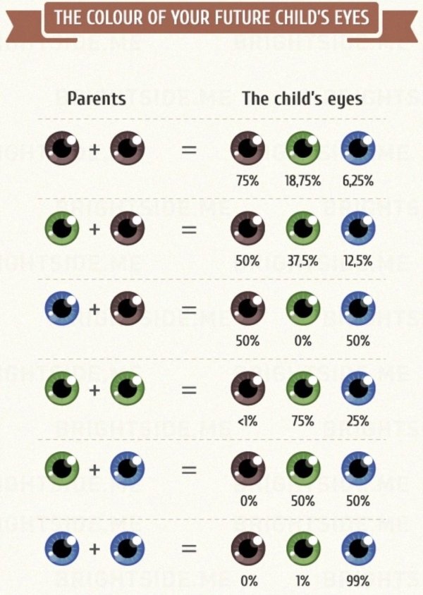 Interesting Data (24 pics)