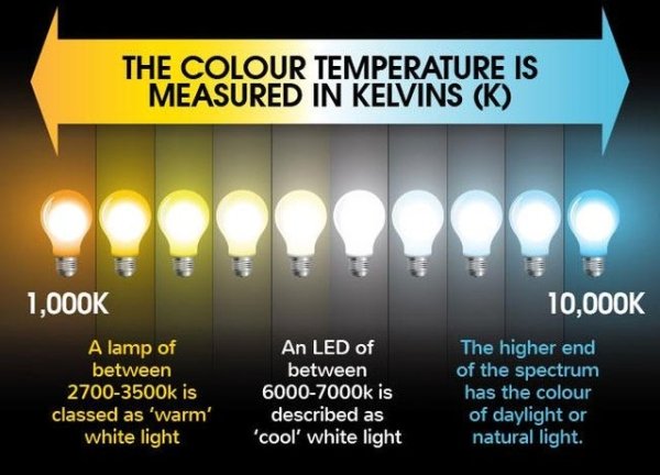 Interesting Data (24 pics)