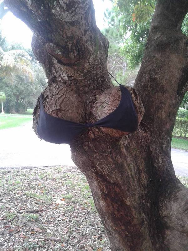 Dirty Humor (35 pics)
