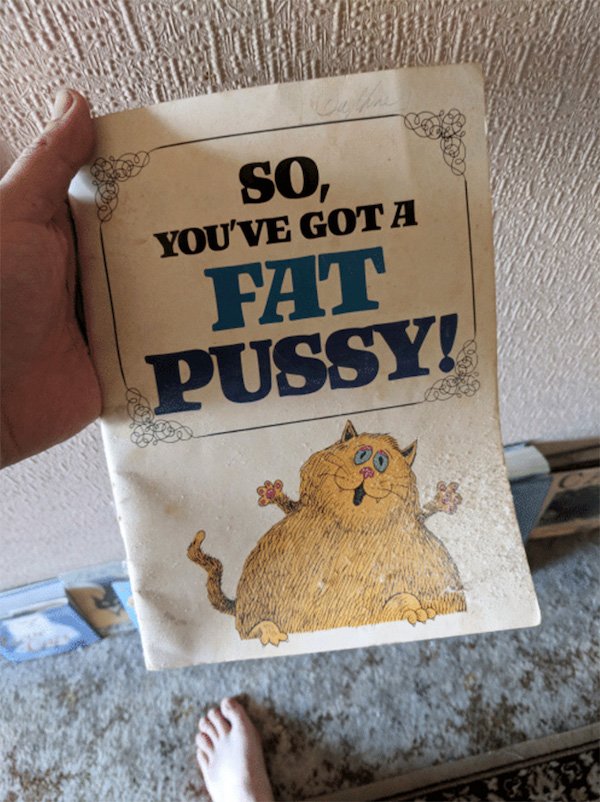 Dirty Humor (35 pics)