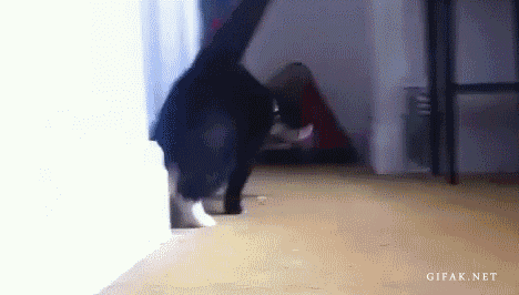Acid Gifdump, March 16 (25 gifs)