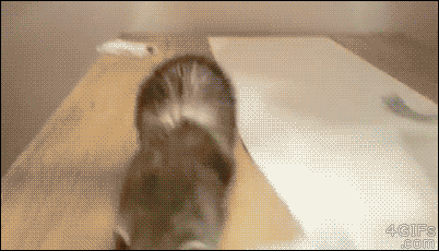 Acid Gifdump, March 16 (25 gifs)