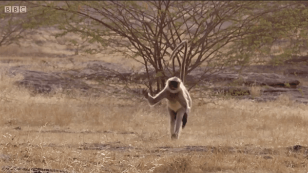 Acid Gifdump, March 16 (25 gifs)