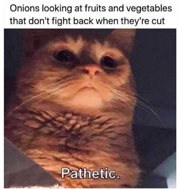 Food Memes And Tweets (22 pics)
