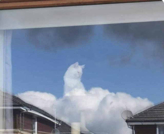 Acid Picdump 2 (72 pics)