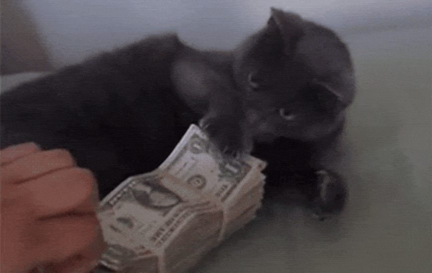 Acid Gifdump, March 17 (25 gifs)