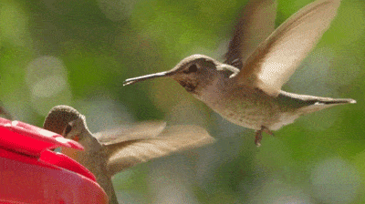 Acid Gifdump, March 17 (25 gifs)